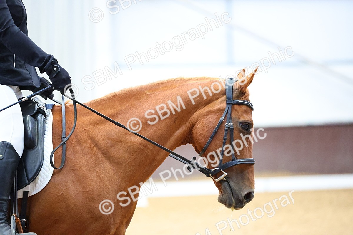 SBM_003352 - Intro 2