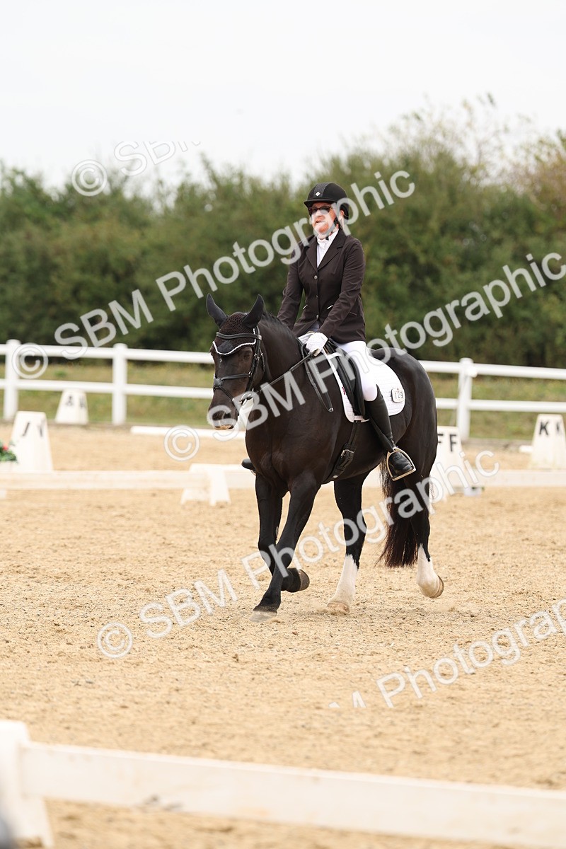 SBM_00953 - Class 8 - Novice 27 Champs