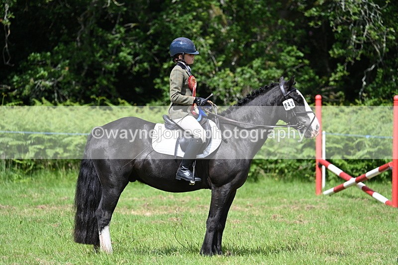 WJ7_1875 - Class 9 Pony Club Pony