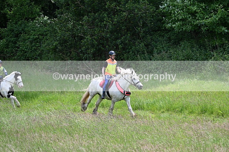 WJ7_8764 - Group 4 11am