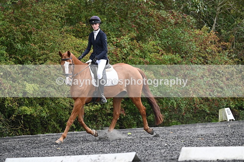 WJ7_6659 - Time 14:49 to 15:14