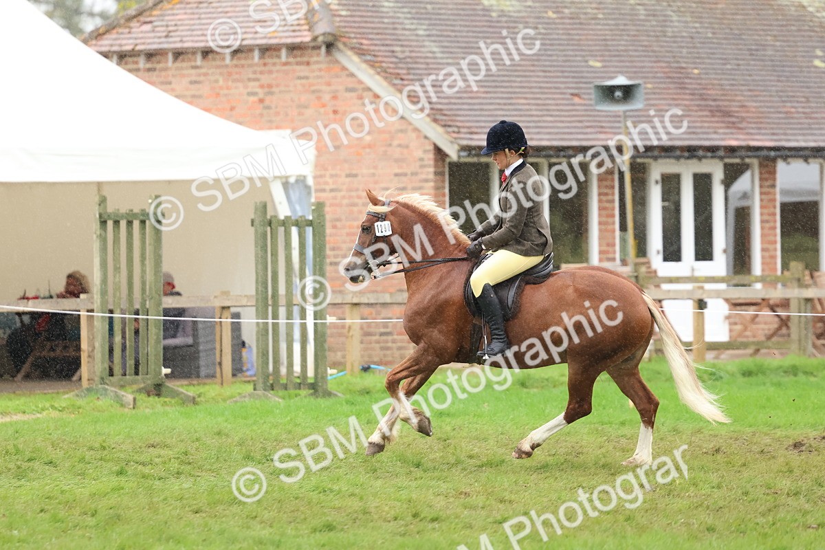 SBM_69693 - S62 - Mountain & Moorland Ridden Large Breeds