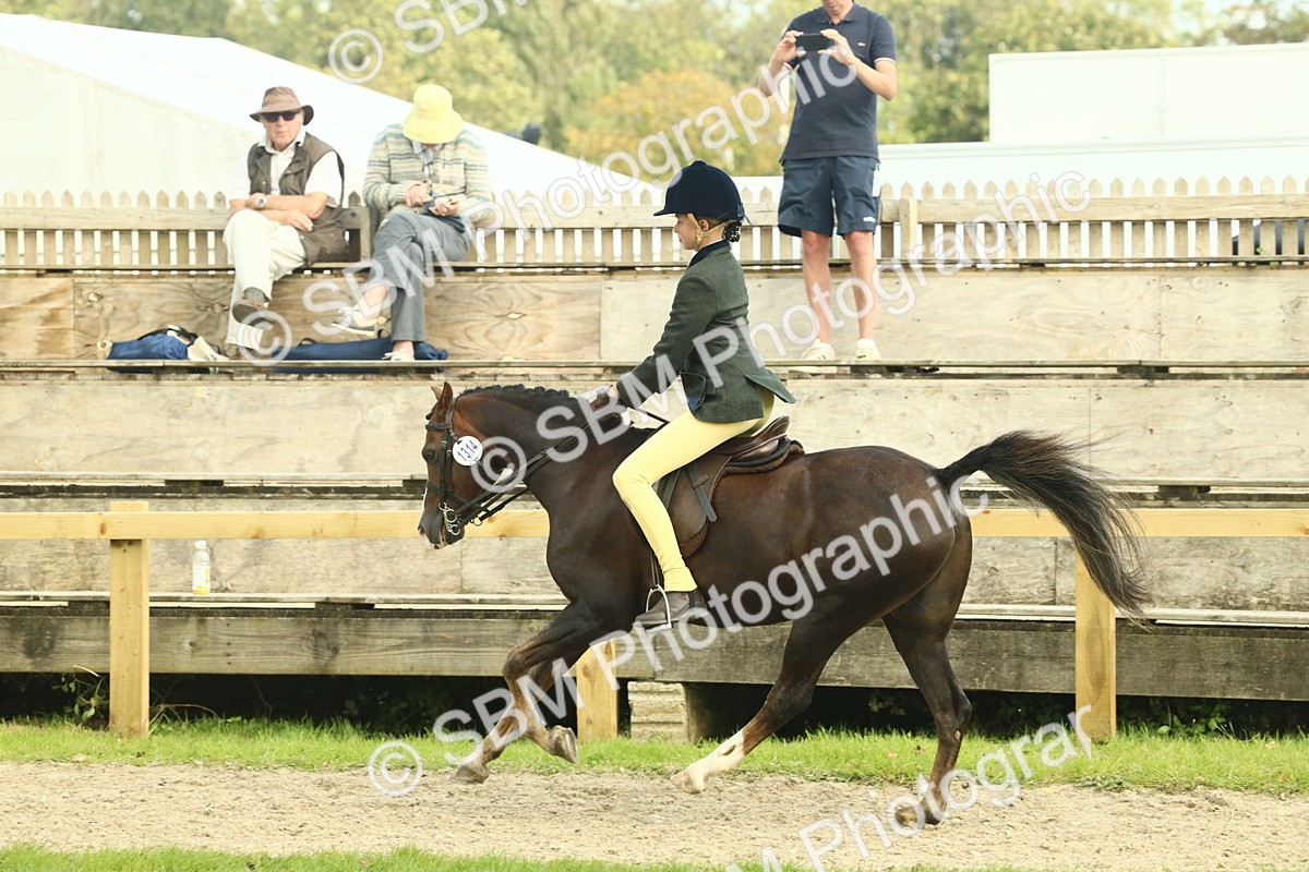 SBM_68075 - S57 - Part Bred Pony Ridden