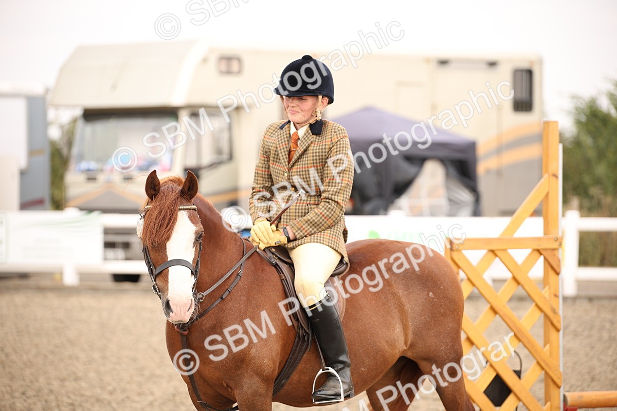 SBM_12280 - Class 405a - M&M Working Veteran 50cm (15-19)