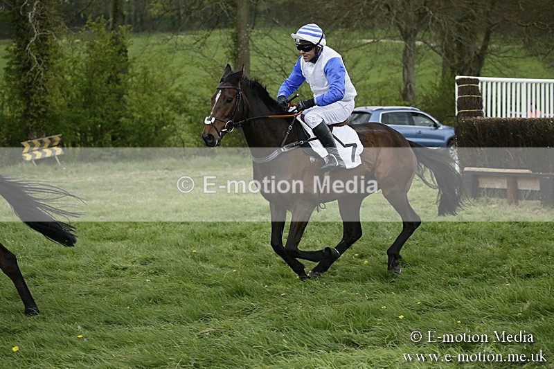 PtP 170417 521 - Old Berks Point-to-Point Lockinge 17/04/17