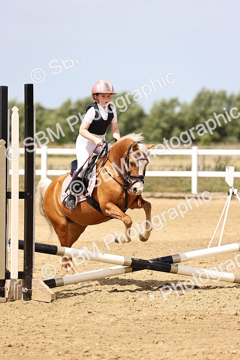 SBM_001786 - Class 2 - 50cm