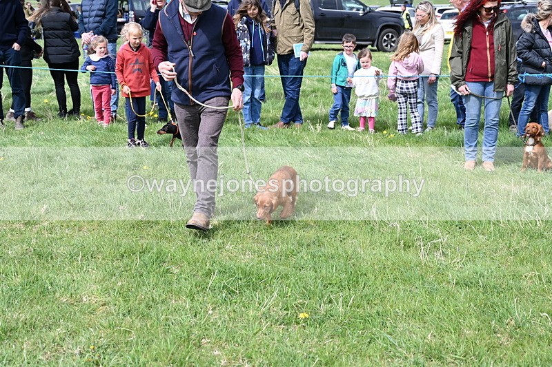 WJ6_8321 - Class 4 Prettiest Bitch