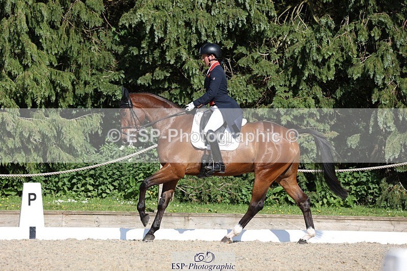 230526-170755-07911 - 175-MONBEG_EQUITY-Tom_McEwen-WEDTrotUp+DR