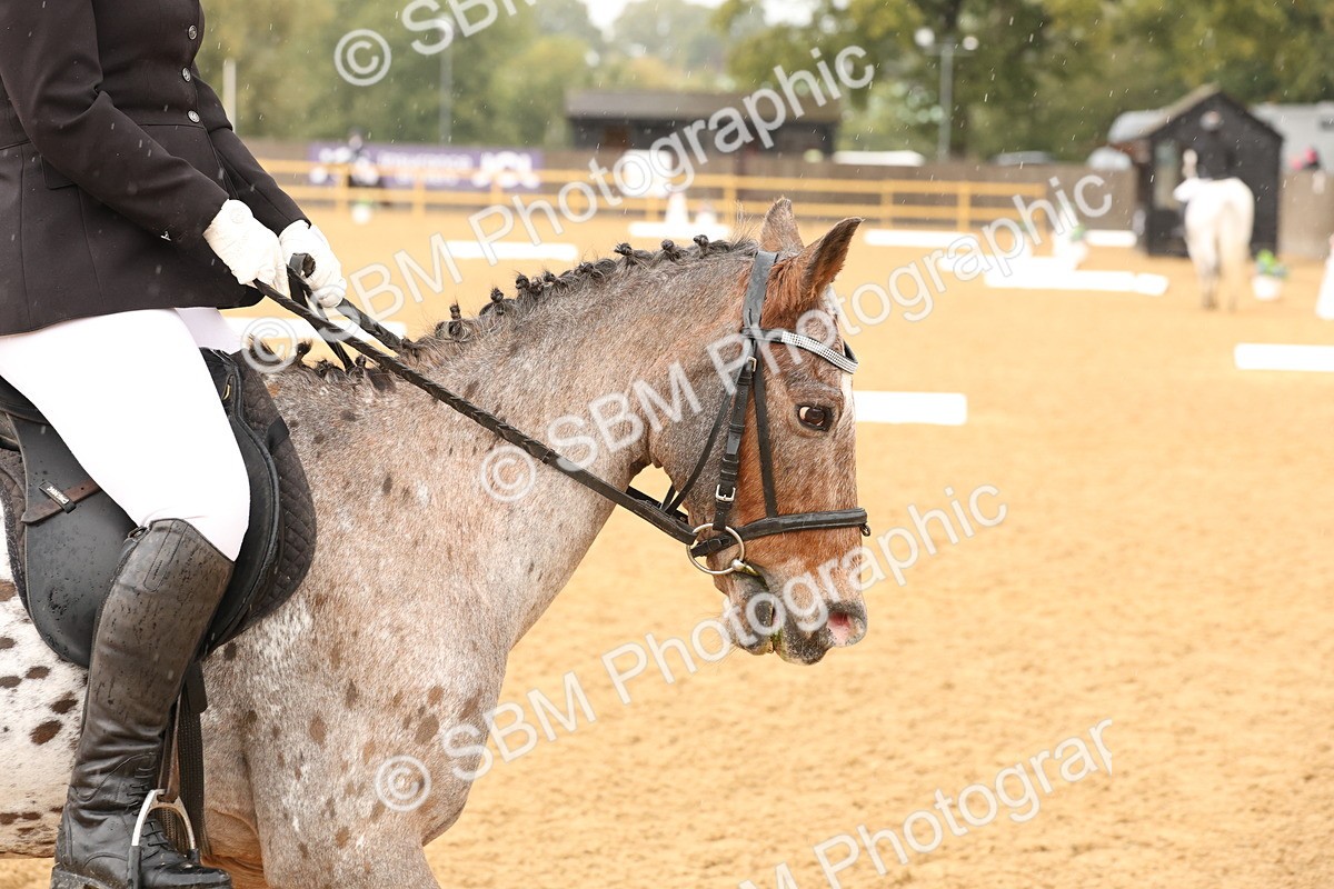 SBM_44129 - D6 - Small Tour Championship Intro 4