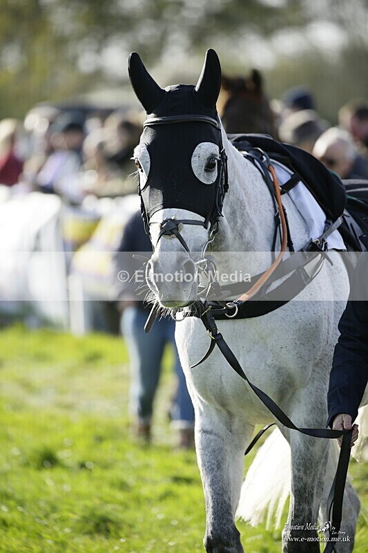PtP 250921 0287 - Point-to-Point Badbury Rings Dorset 07/11/2021