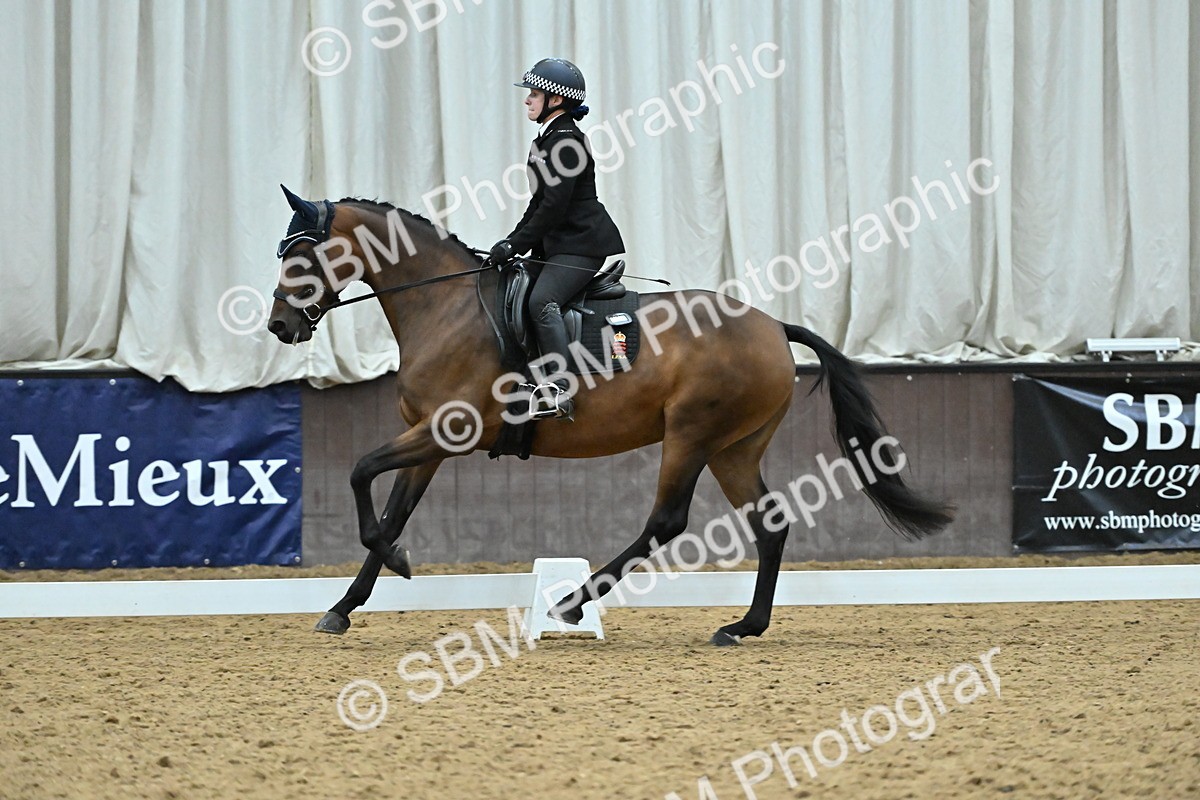 SBM_008207 - Class 88 - Medium MSF