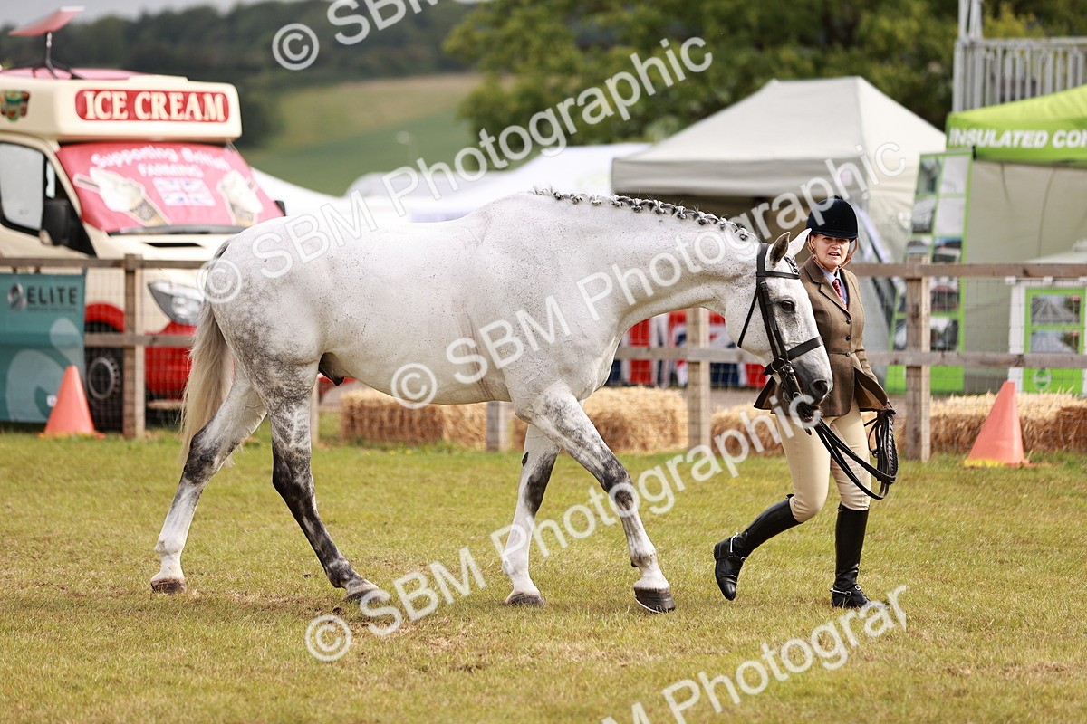 SBM_10881 - Class 81-84 - RIHS Ridden hunters Inc Ladies Hunter