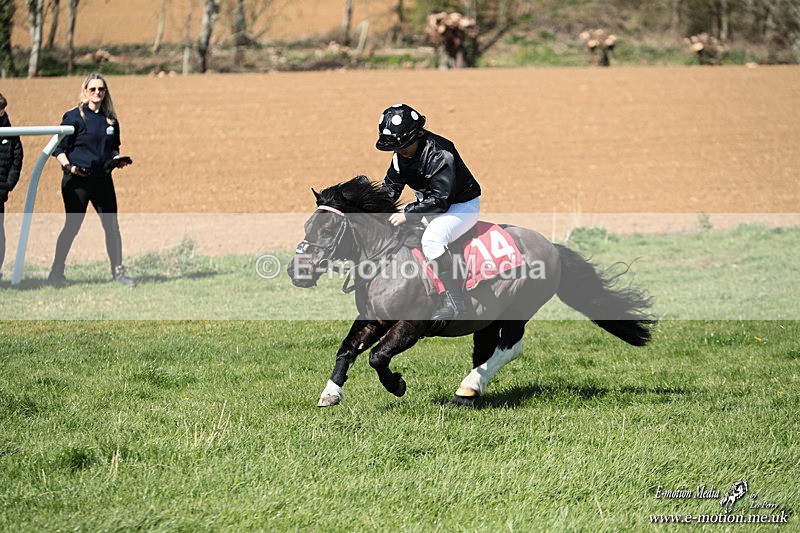 Shet 060426 324 - Shetland Pony Racing Paxford Races Easter Mon 06/04/26