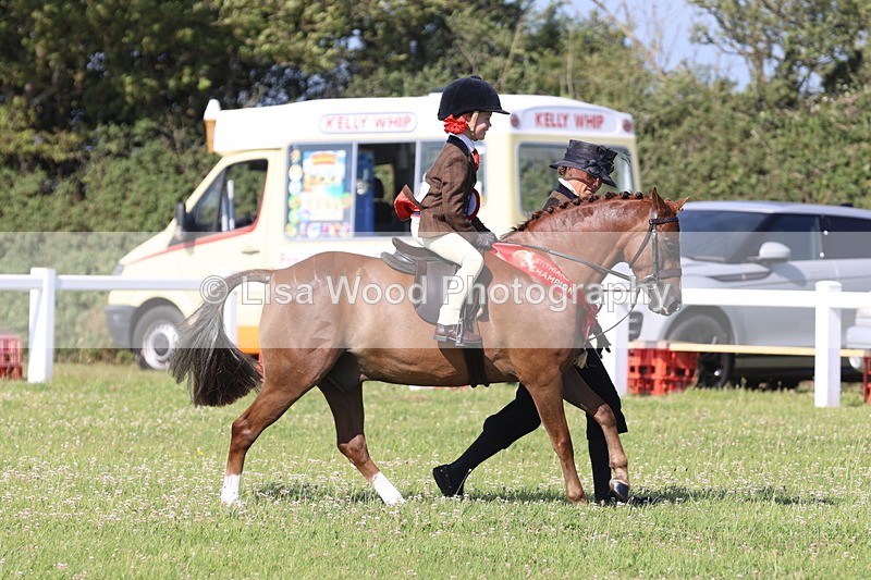 JPP_1654 - Best Rider Championship