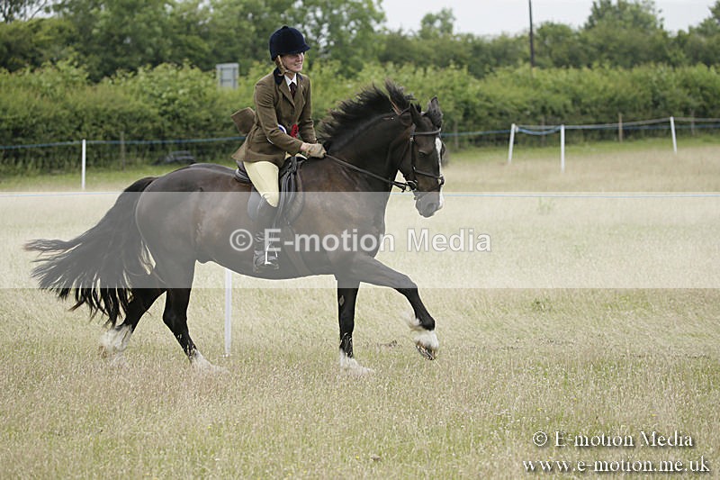B230619-0758 - Bourne Valley Riding Club Summer Show 23/06/19