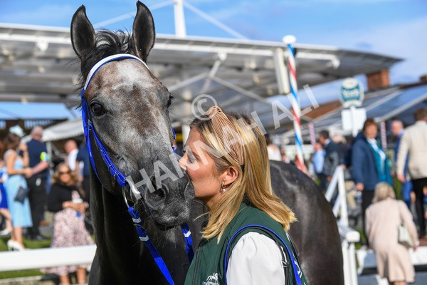 250823-Race 7-Silver Sword-1329 - Race 7 5.15pm Sky Bet Mile Handicap