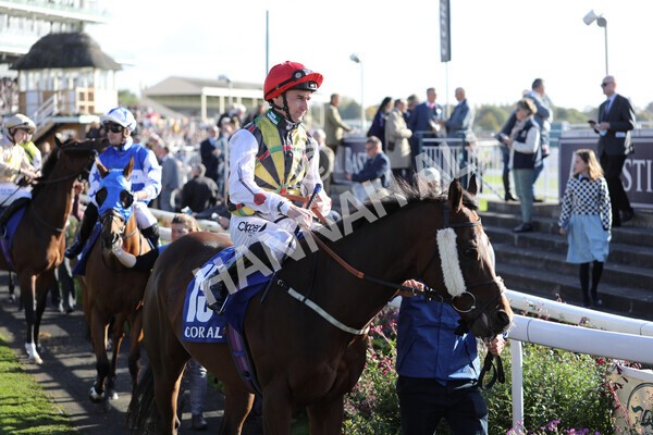 yr08102022r4-14 - Race 4 3.15pm The Coral Sprint Trophy