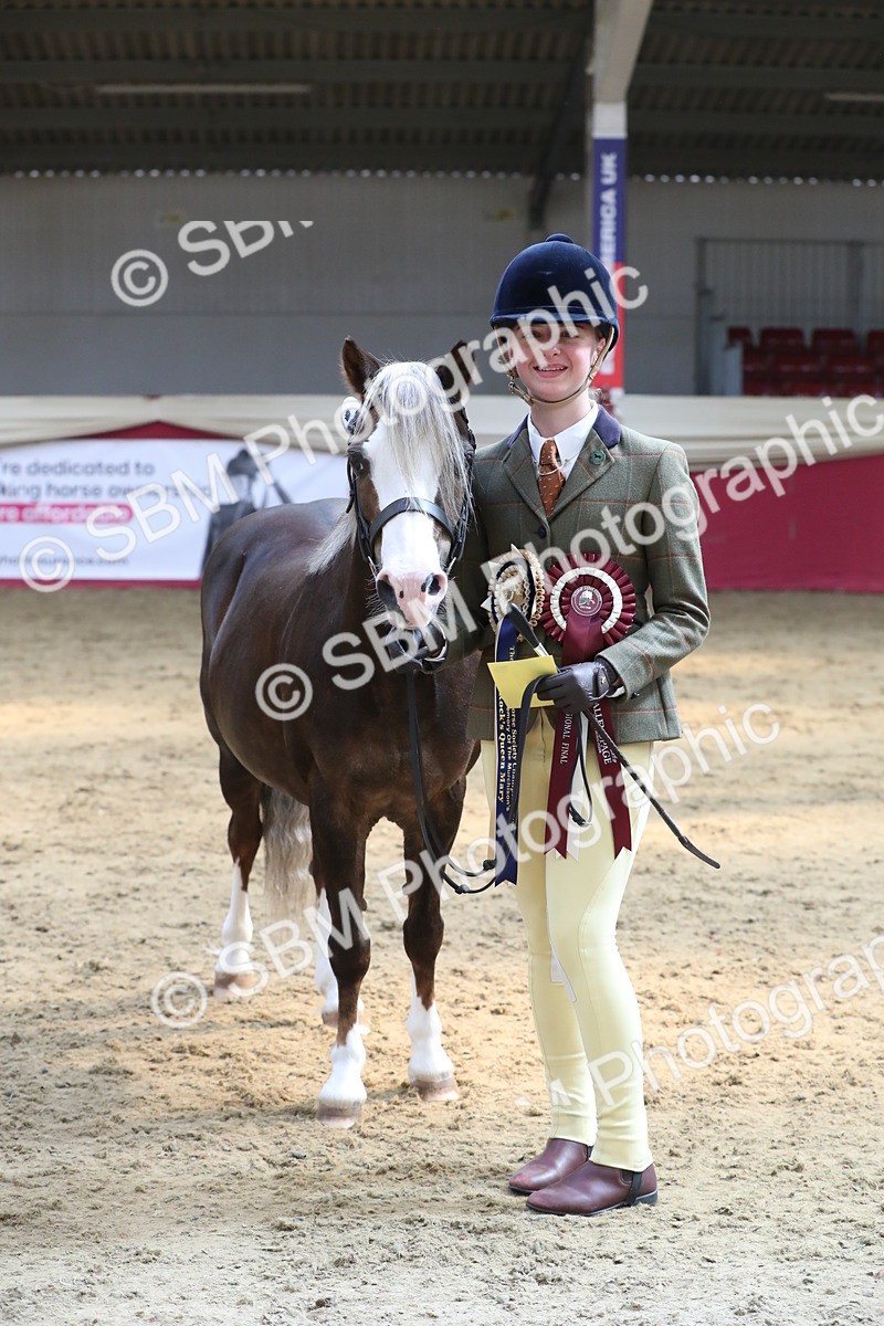 SBM_04461 - Class 7R Regional - IH Diamond