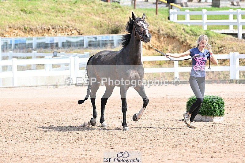 240717A-154214-02990 - Trot Up 3pm to 4pm