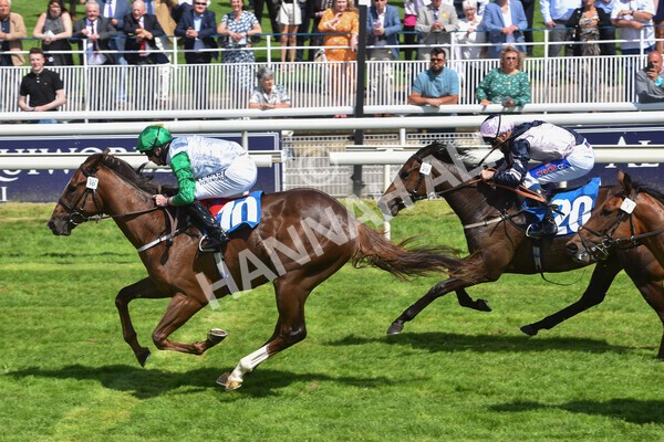 yr11062021r3-34 - Race 3 2.55pm SKF Rous Selling Stakes