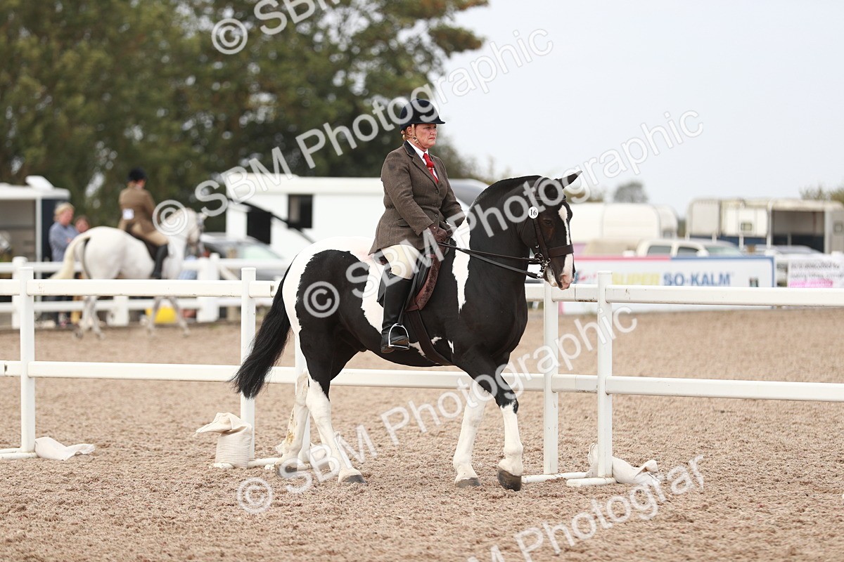 SBM_16581 - Class 214 Ridden Cob