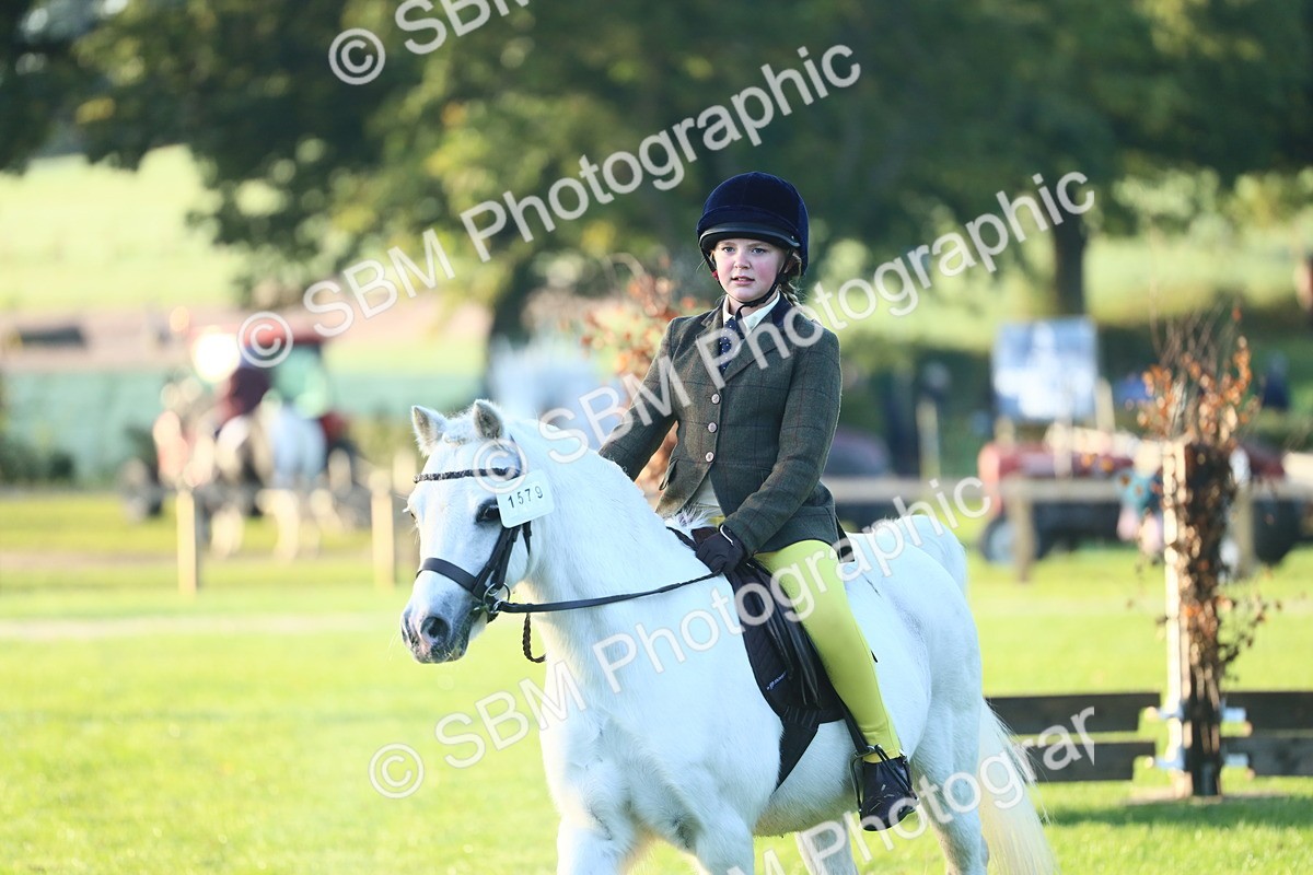 SBM_31753 - S28 - Nursery Stakes Working Hunter Pony