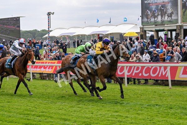 150525-American Affair-3696 - Race 1 2.10pm Lindum York Handicap