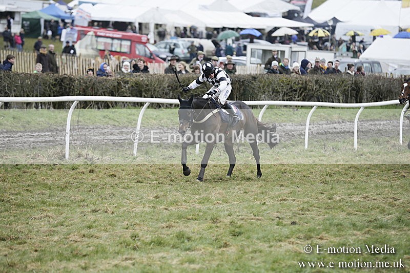 PtP 020418 -403 - Old Berks Point-to-Point Races Easter Monday 02/04/18