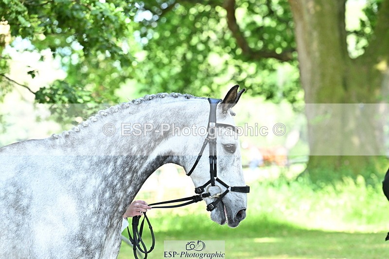 250521A-155405-00831 - B-377-Millie.Juleff-CFH.DAKAR.HILL