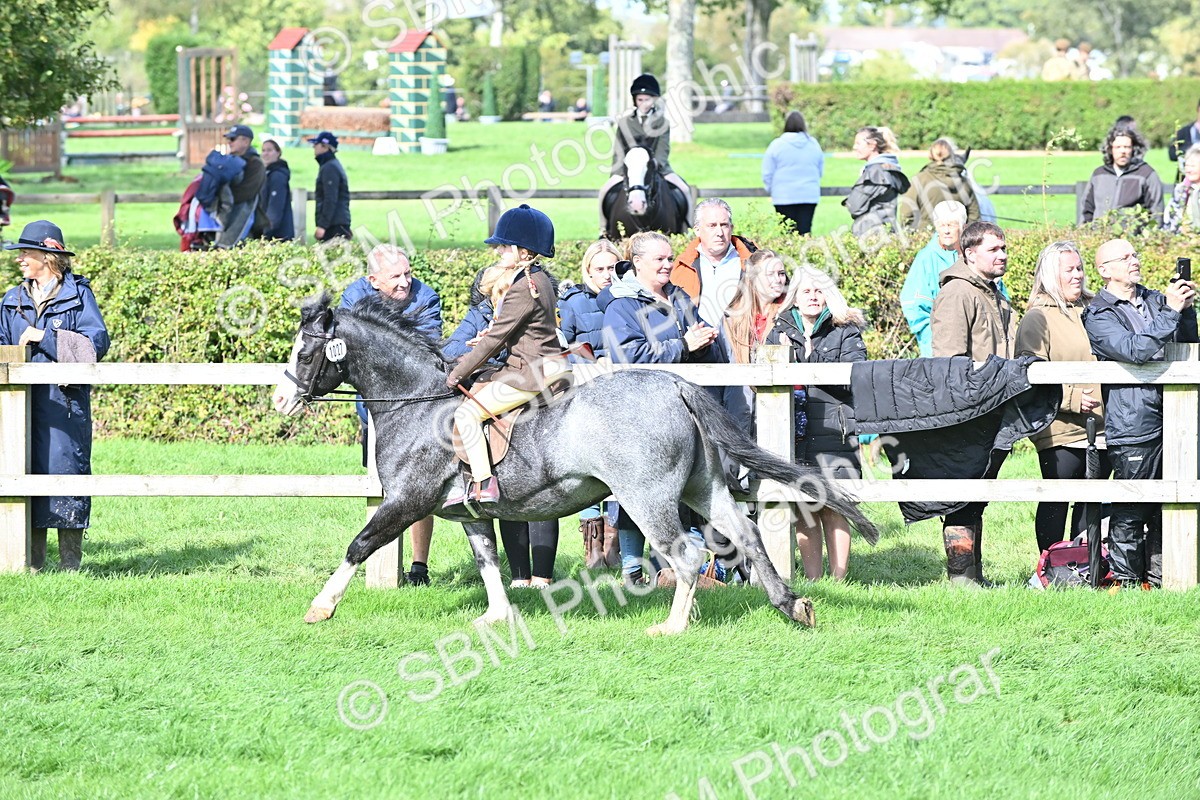 SBM_44610 - S13 - Pony Club Pony