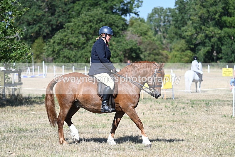 WJ7_3405 - Class 9 Mountain & Moorland Ridden