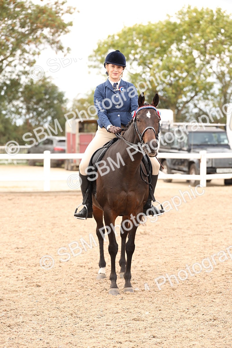 SBM_17354 - Class 214 - Ridden Hack Riding Horse