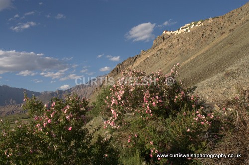 68 - LADAKH - INDIA