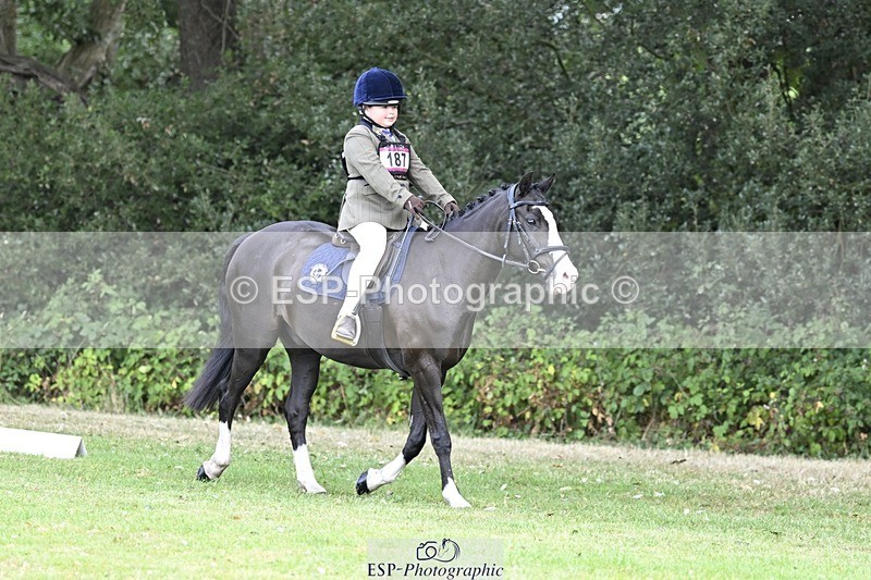 250821A-101558-14218 - DR 10.00 to 11.00