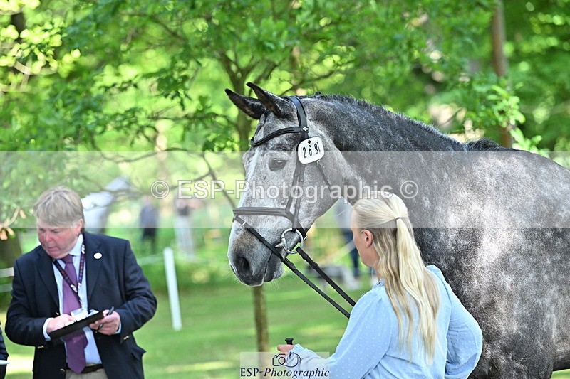 250521A-160554-00917 - C-268-Lucy.Stimson-RUSTINO