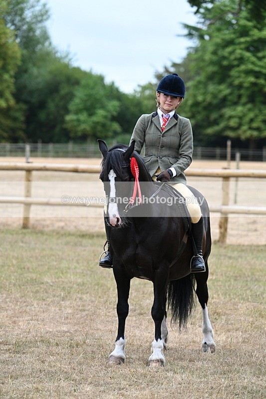 WJ7_0674 - Class 6 Ridden Mountain and Moorland