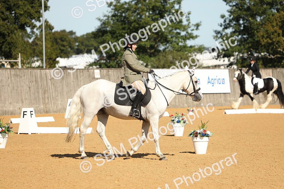 SBM_18713 - D10 - Small Tour Championship - Prelim 2