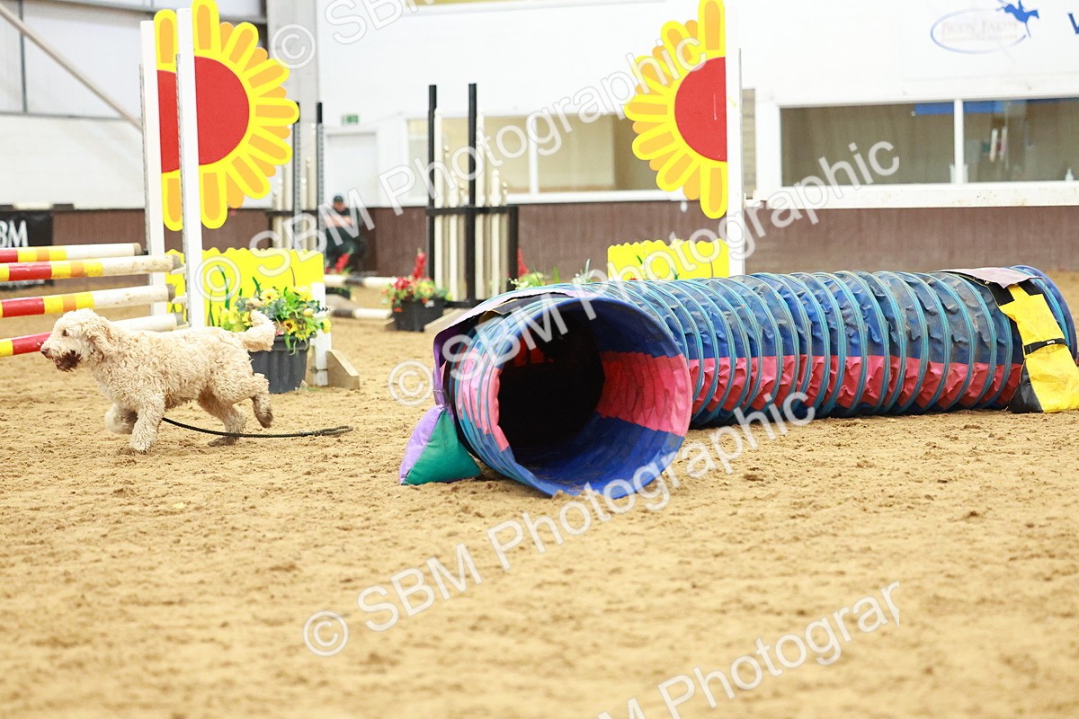 SBM_002171 - Class 3 - Horse & Hound (60cm)
