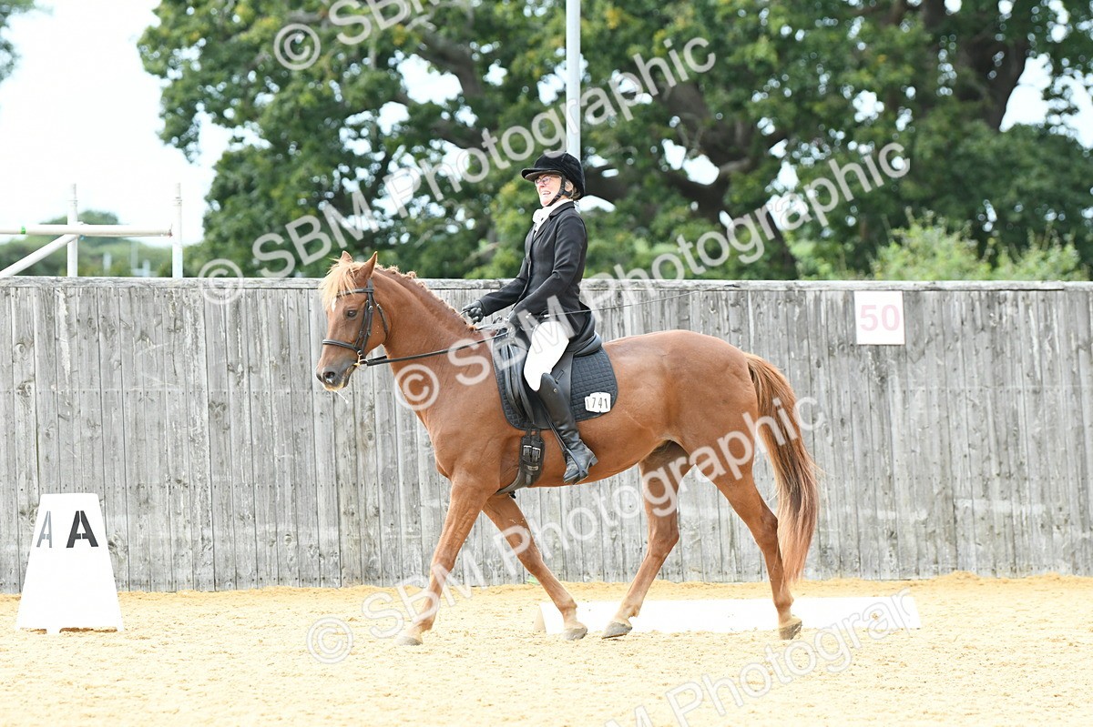 SBM_10978 - D28 Elementary Taster Elementary 42