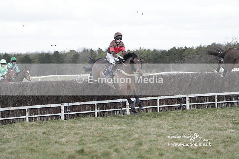 PtP 260223 637 - South & West Wilts Point-to-Point Larkhill 26/02/23