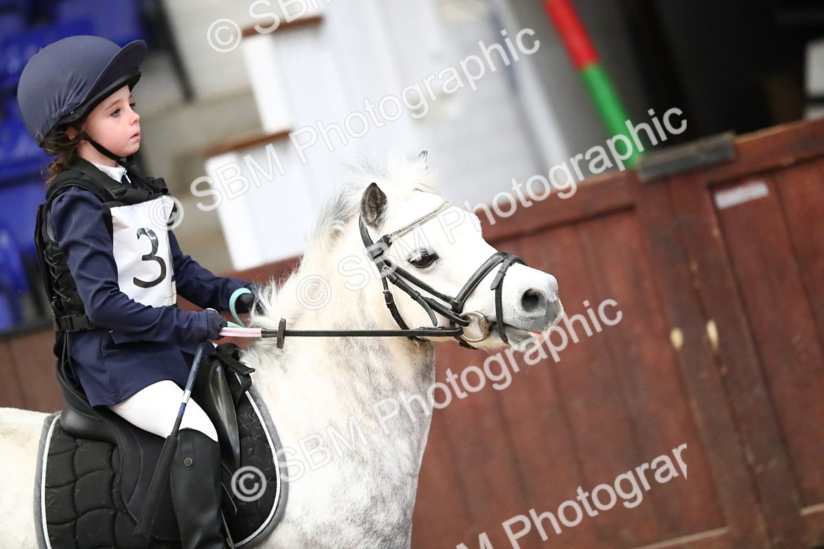 SBM_001348 - Class 3 - 50cm