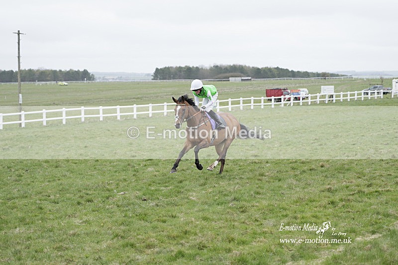 PtP 260323 1127 - New Forest Hounds Point-to-Point Larkhill 26/03/23