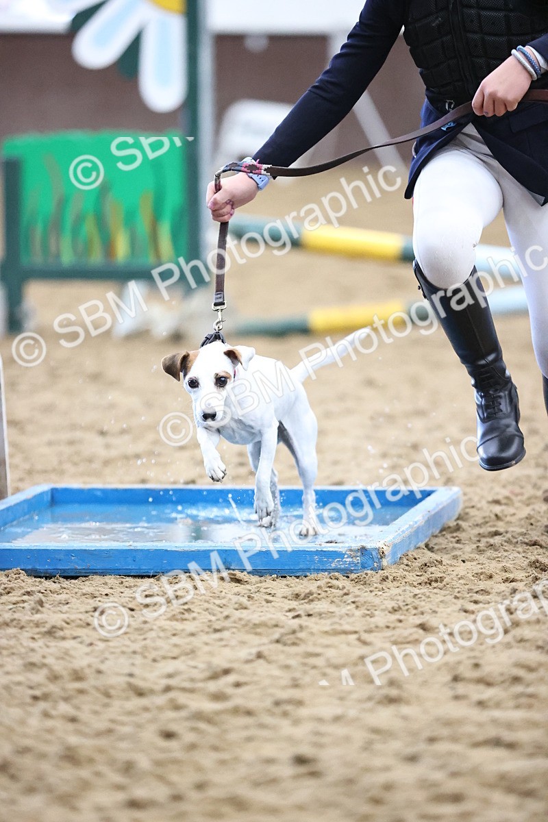 SBM_001573 - Class 3 - Horse & Hound 60cm