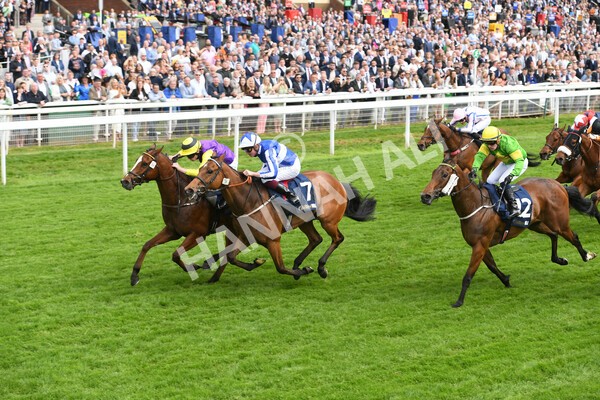 yr21052022r3-11 - Race 3: 3:30pm William Hill Best Odds Guaranteed Stakes