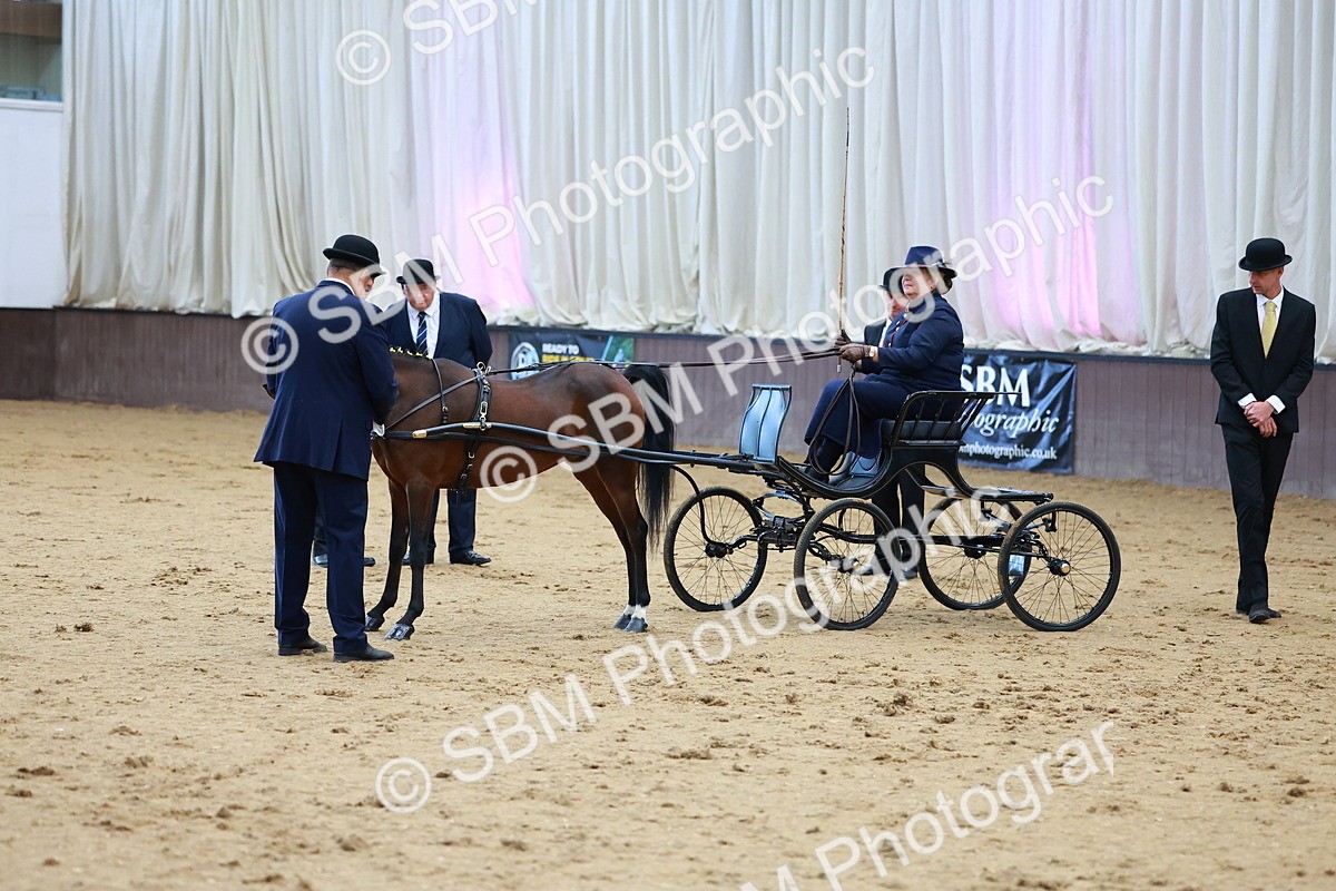 SBM_000650 - Class 9 - HHS Championship Intl Hackney Pony to a Showwagon
