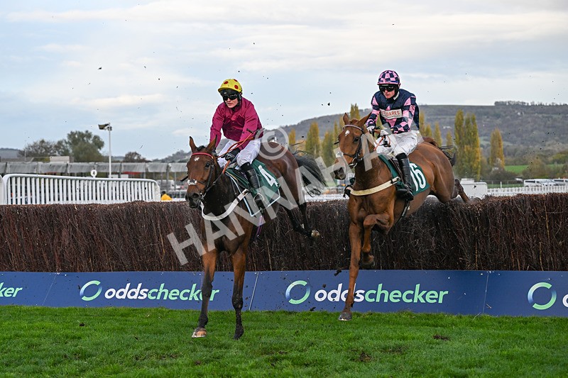 241025-Race 7-Ideal Des Bordes-5962 - Race 7