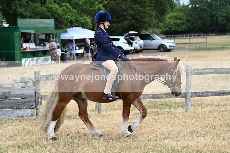 WJ7_0270 - Class 2 Best rider