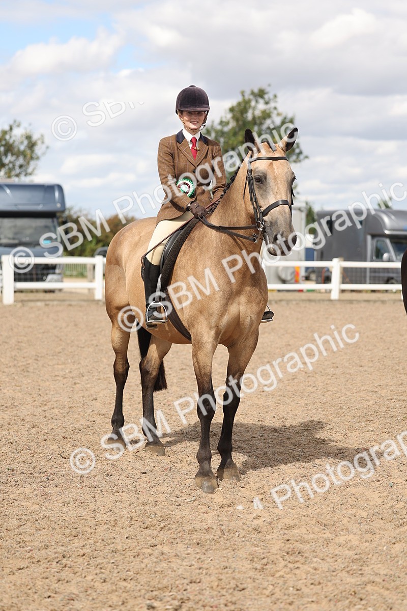 SBM_14855 - Class 308 - Ridden Coloured Horse
