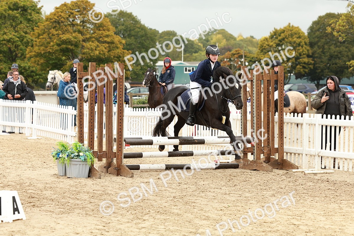 SBM_69228 - J13 - Junior Pony 60cm Championship