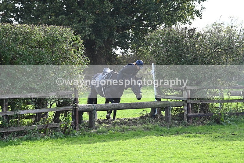 WJ7_0988 - Time 14:27 to 15:11